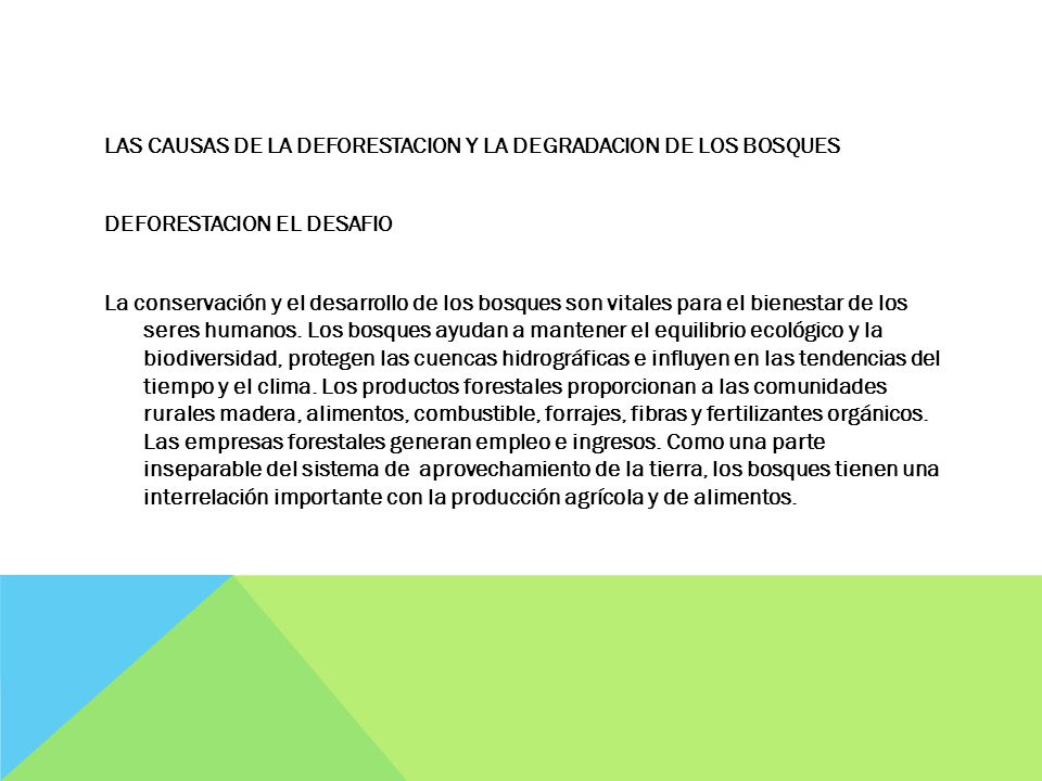 LAS CAUSAS DE LA DEFORESTACION Y LA DEGRADACION DE LOS BOSQUES DEFORESTACION EL DESAFIO La conservación y el desarrollo de los bosques son vitales para el bienestar de los seres humanos.