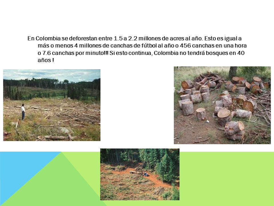 En Colombia se deforestan entre 1. 5 a 2. 2 millones de acres al año