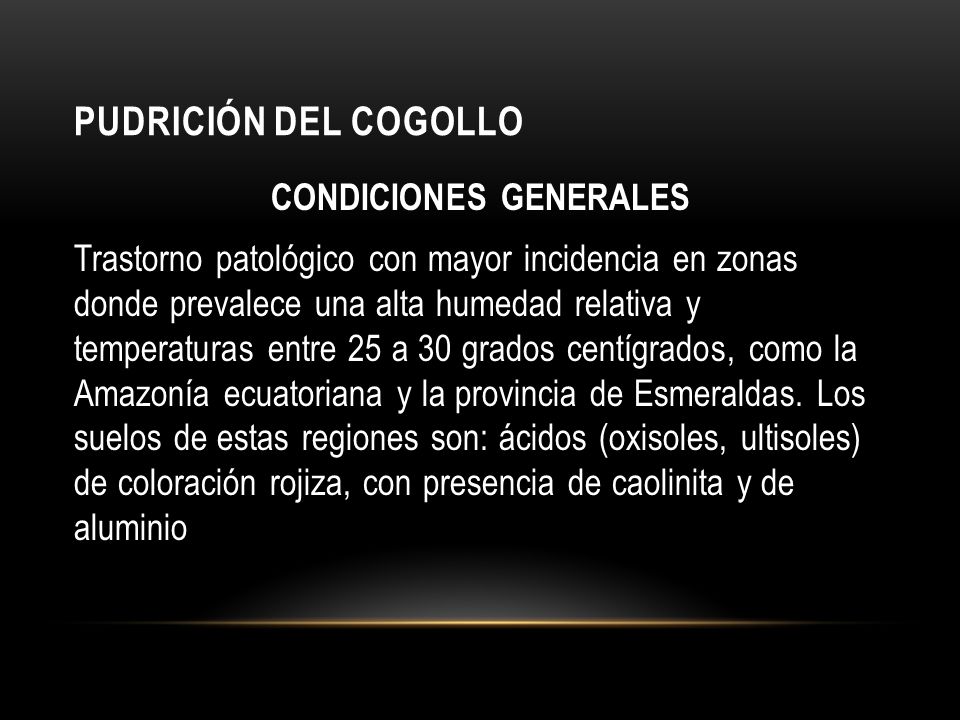 PUDRICIÓN DEL COGOLLO