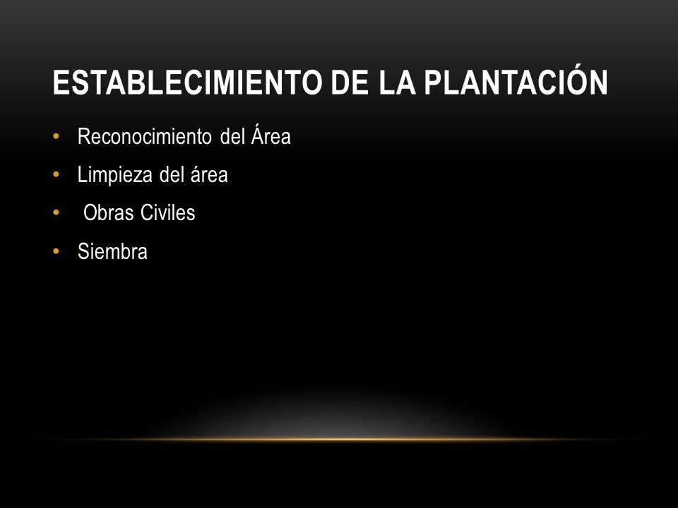 ESTABLECIMIENTO DE LA PLANTACIÓN