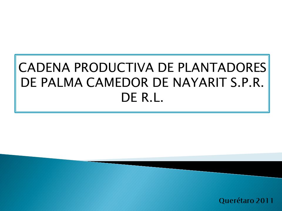 CADENA PRODUCTIVA DE PLANTADORES DE PALMA CAMEDOR DE NAYARIT S. P. R