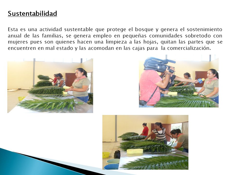 Sustentabilidad