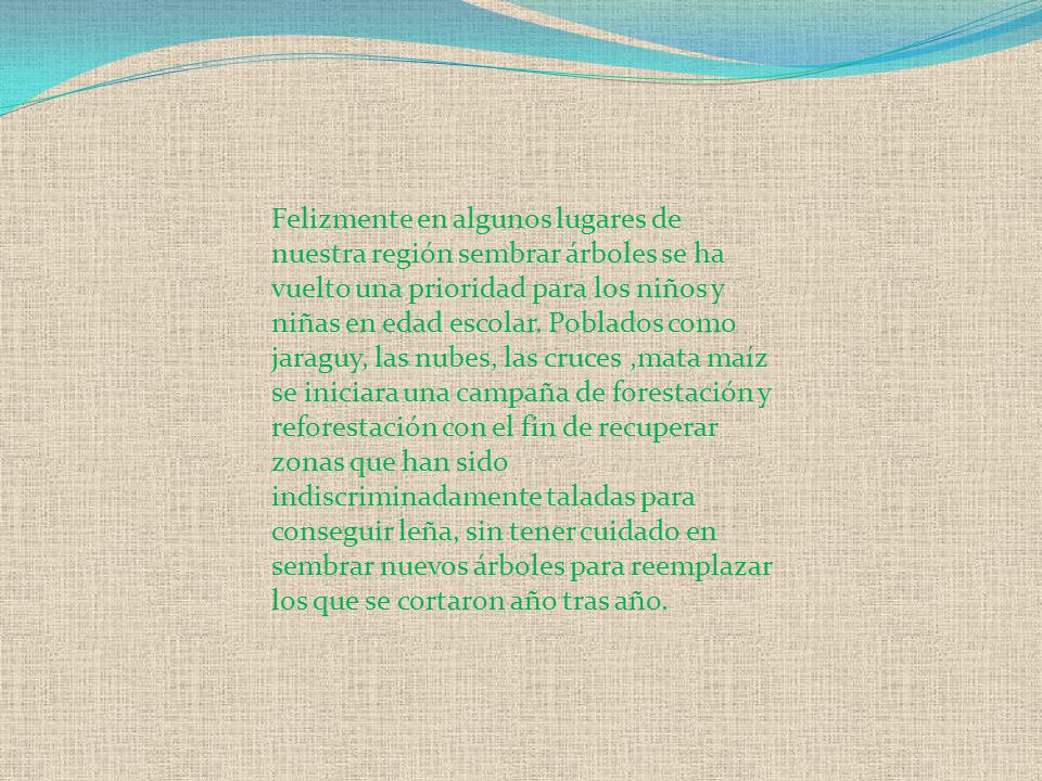 Felizmente en algunos lugares de nuestra región sembrar árboles se ha vuelto una prioridad para los niños y niñas en edad escolar.