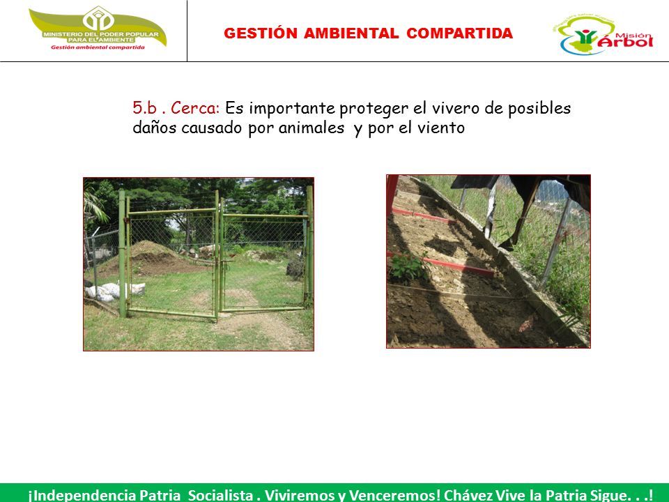 5.b . Cerca: Es importante proteger el vivero de posibles daños causado por animales y por el viento