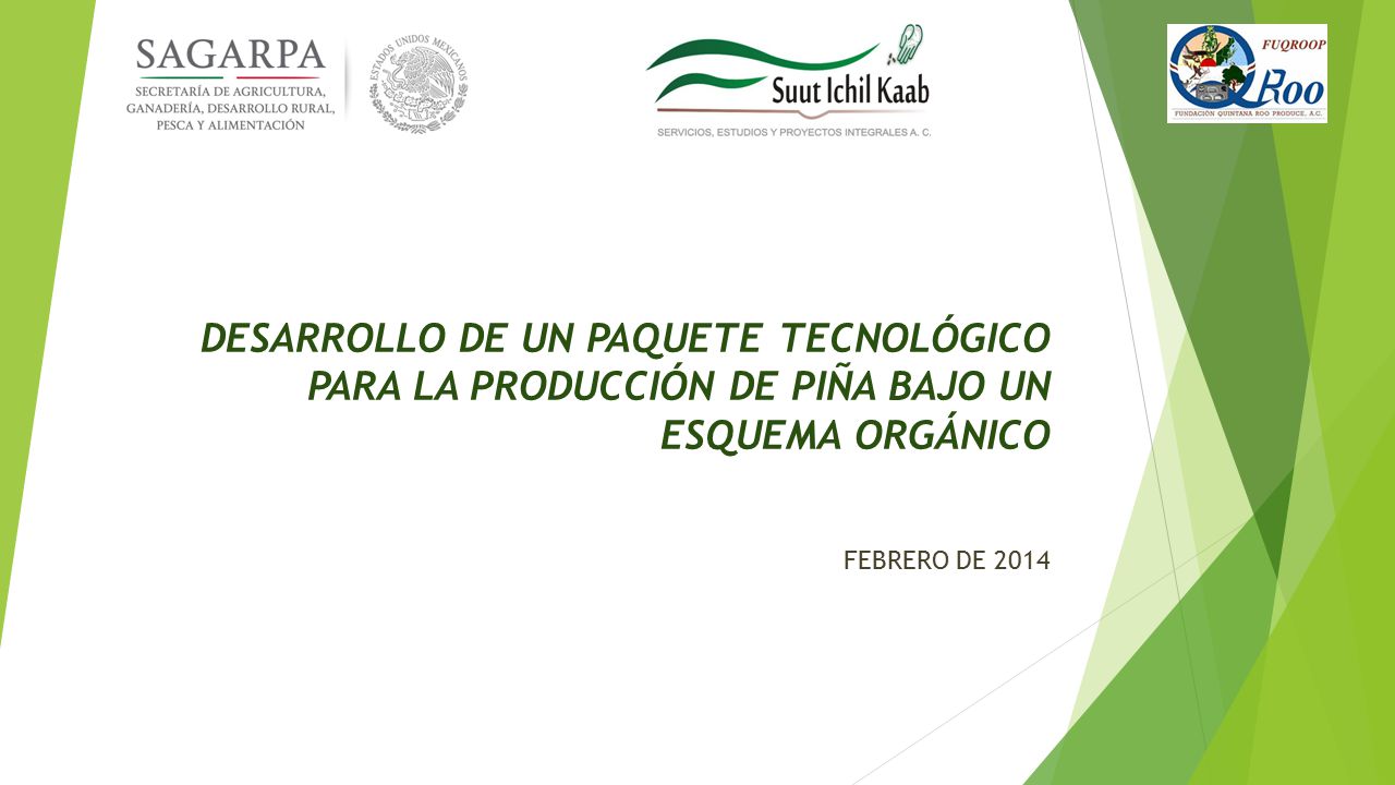 DESARROLLO DE UN PAQUETE TECNOLÓGICO PARA LA PRODUCCIÓN DE PIÑA BAJO UN ESQUEMA ORGÁNICO