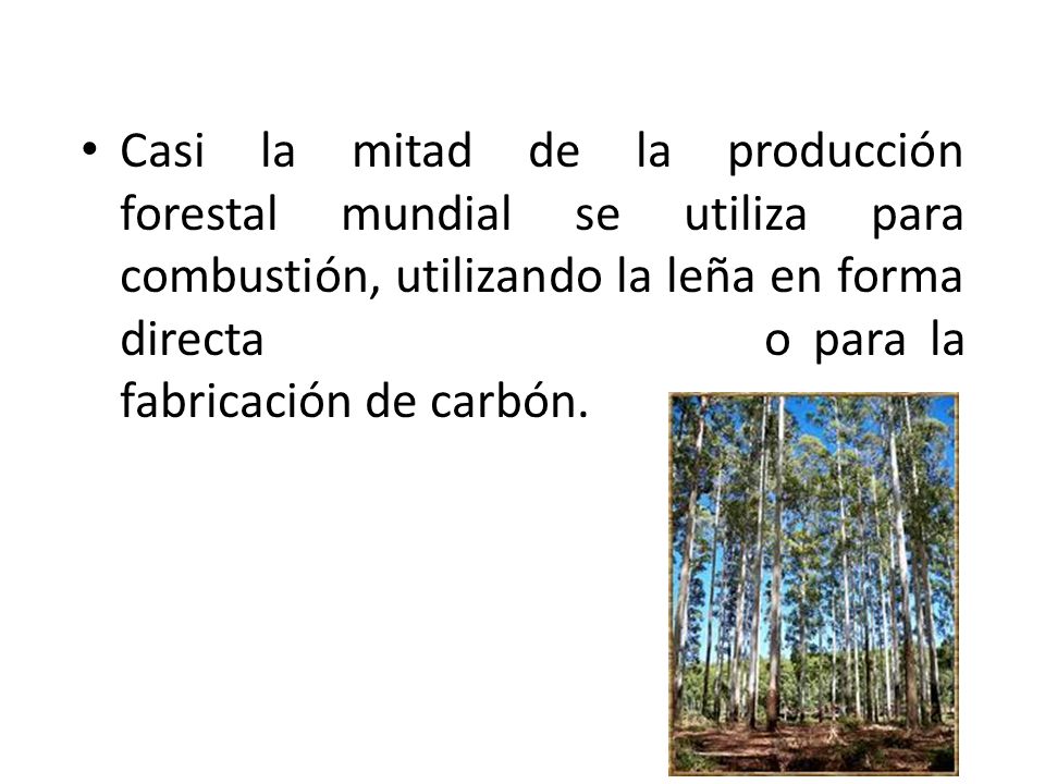 Casi la mitad de la producción forestal mundial se utiliza para combustión, utilizando la leña en forma directa o para la fabricación de carbón.