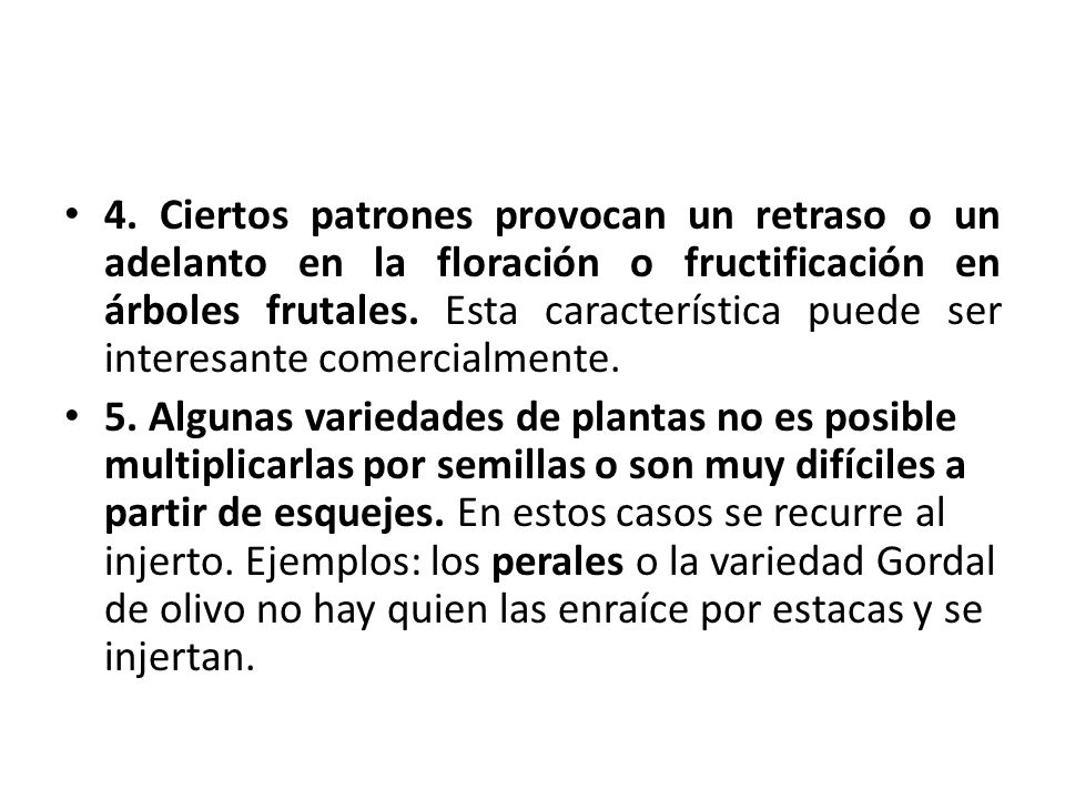 4. Ciertos patrones provocan un retraso o un adelanto en la floración o fructificación en árboles frutales. Esta característica puede ser interesante comercialmente.