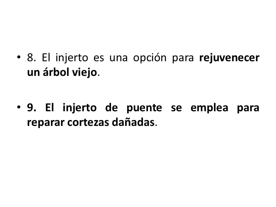 8. El injerto es una opción para rejuvenecer un árbol viejo.