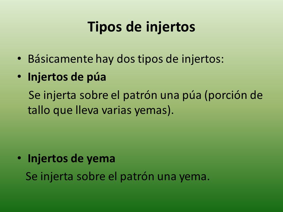Tipos de injertos Básicamente hay dos tipos de injertos:
