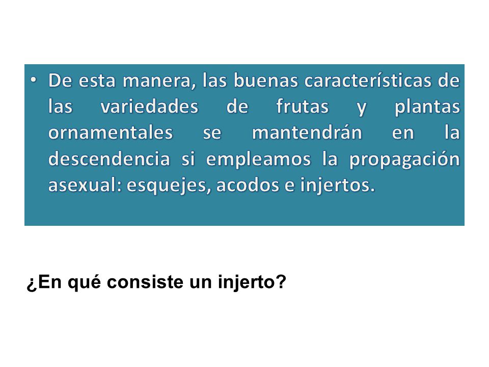 De esta manera, las buenas características de las variedades de frutas y plantas ornamentales se mantendrán en la descendencia si empleamos la propagación asexual: esquejes, acodos e injertos.