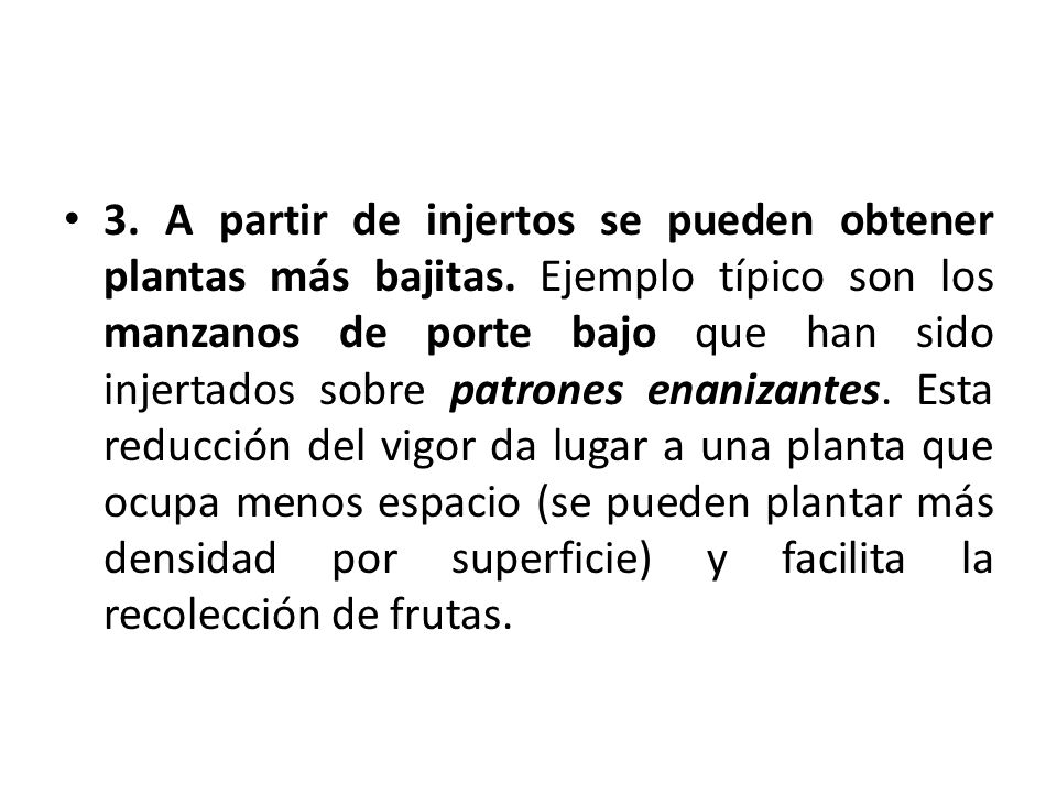 3. A partir de injertos se pueden obtener plantas más bajitas