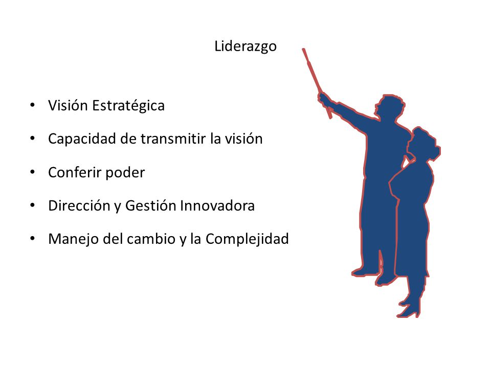 Liderazgo Visión Estratégica. Capacidad de transmitir la visión. Conferir poder. Dirección y Gestión Innovadora.