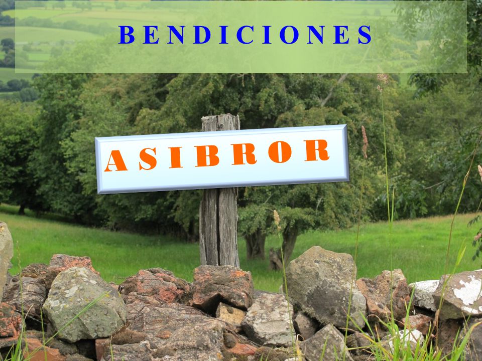B E N D I C I O N E S A S I B R O R