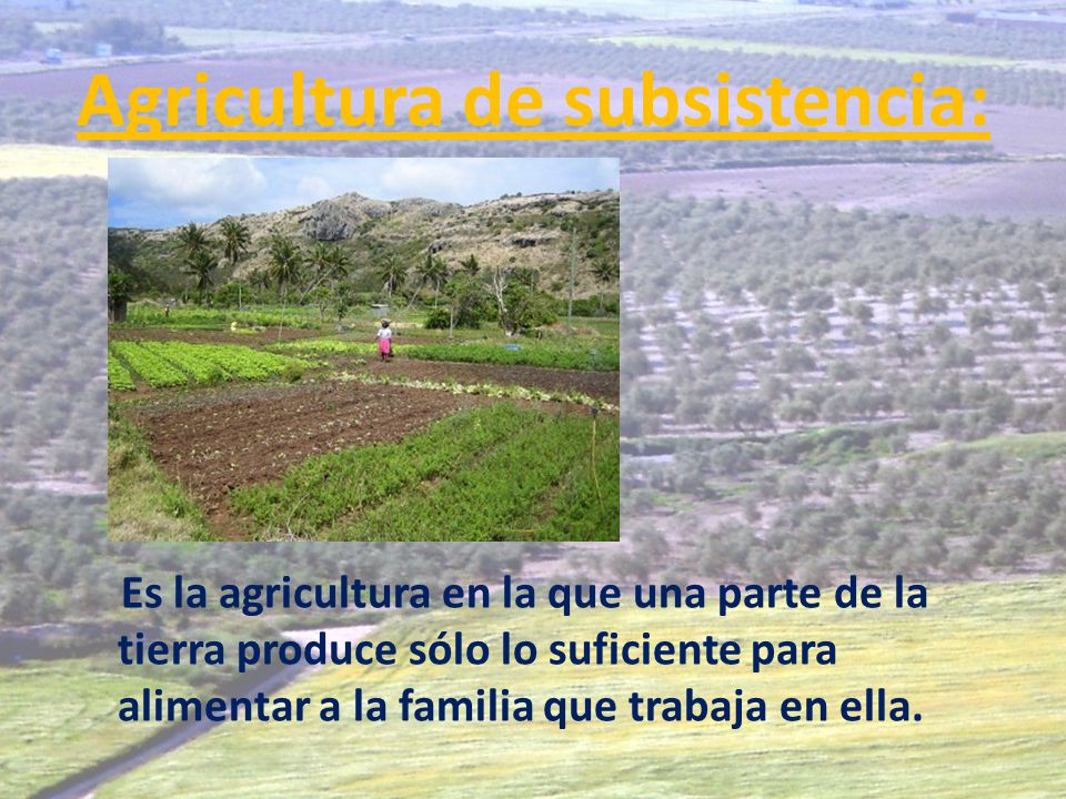 Agricultura de subsistencia: