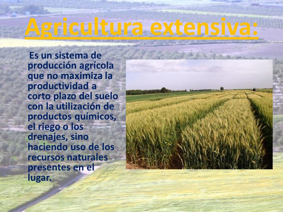 Agricultura extensiva: