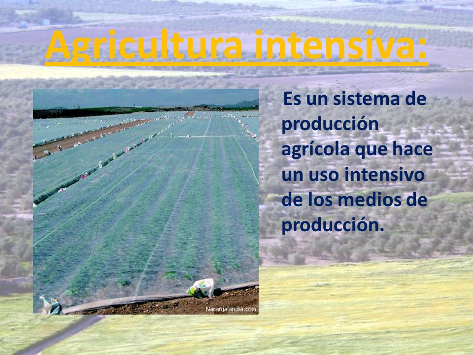 Agricultura intensiva: