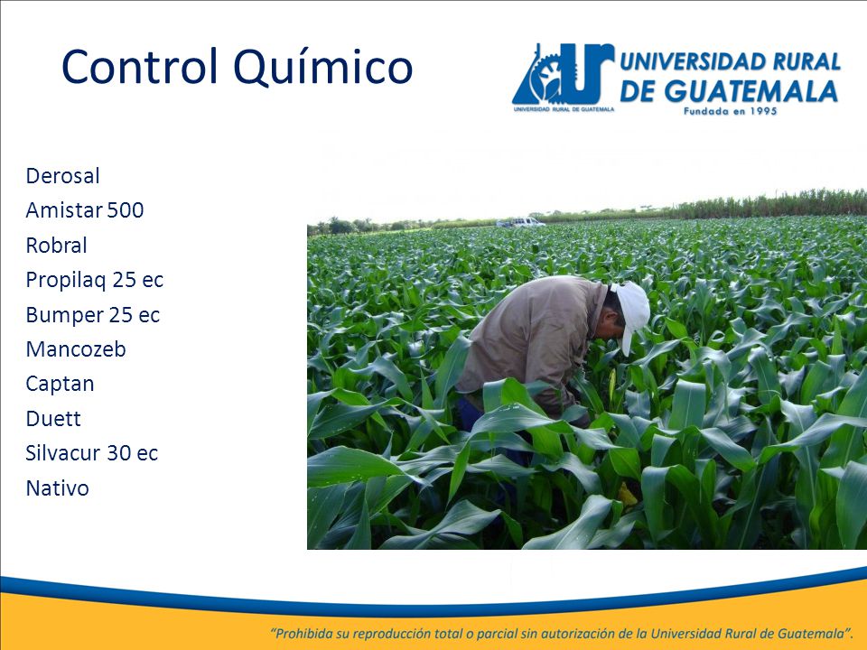 Control Químico Derosal Amistar 500 Robral Propilaq 25 ec Bumper 25 ec