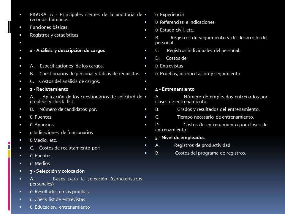 FIGURA 17 - Principales ítemes de la auditoría de recursos humanos.