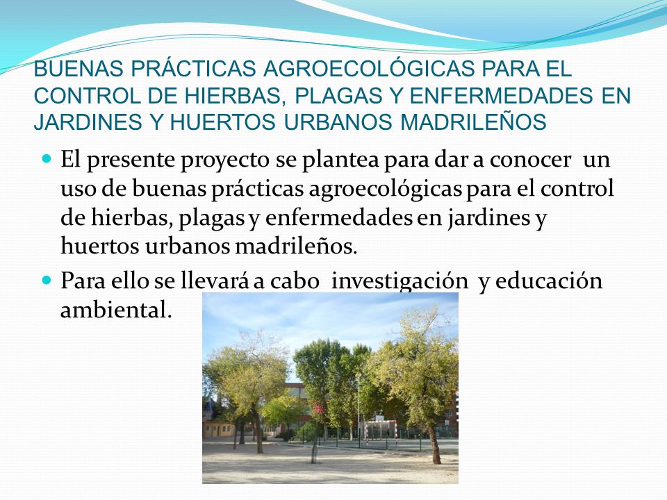 Para ello se llevará a cabo investigación y educación ambiental.