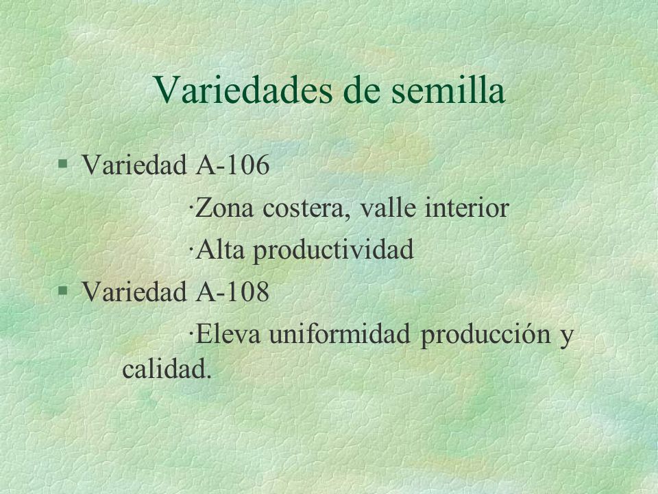 Variedades de semilla Variedad A-106 ·Zona costera, valle interior