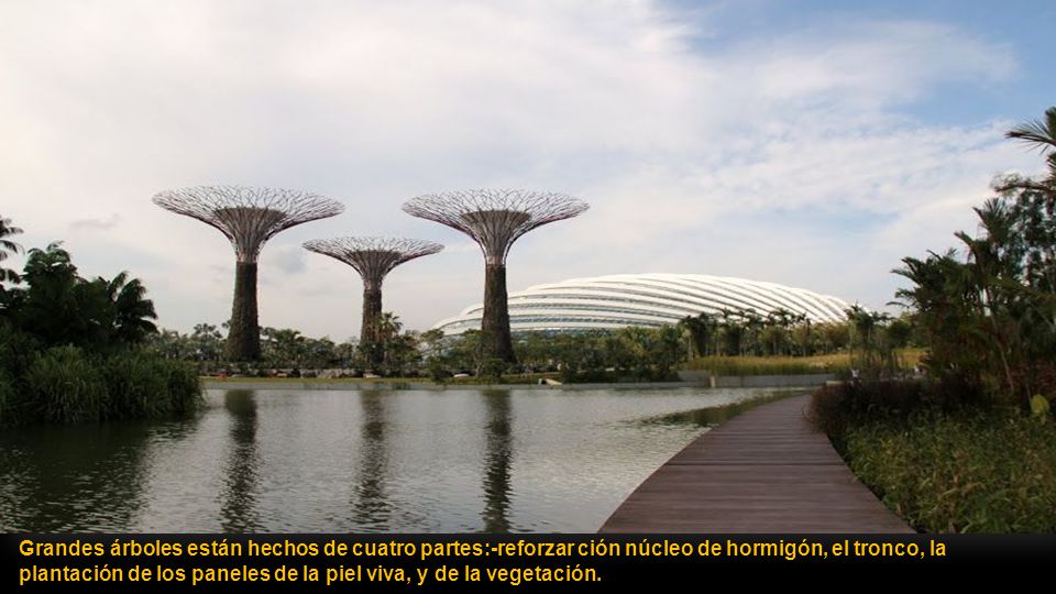 Grandes árboles están hechos de cuatro partes:-reforzar ción núcleo de hormigón, el tronco, la plantación de los paneles de la piel viva, y de la vegetación.