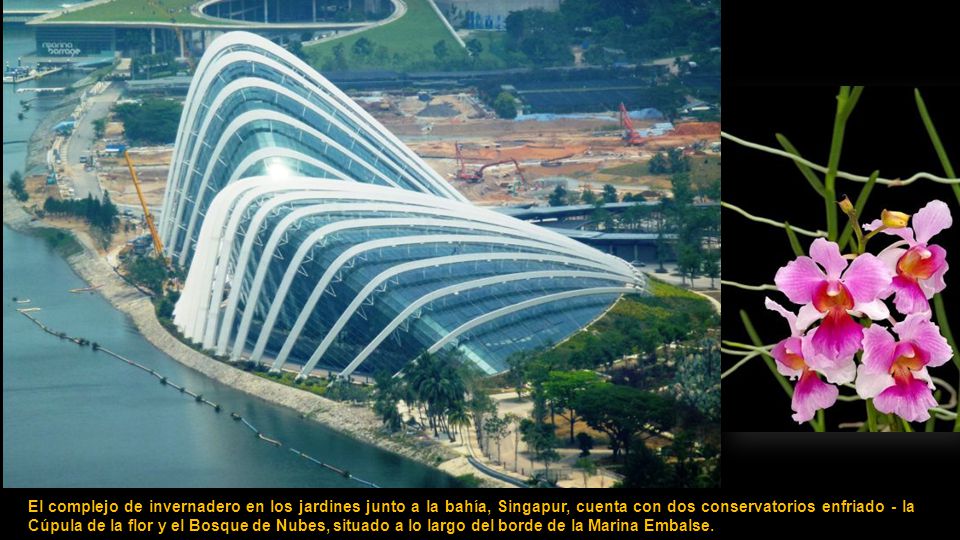 El complejo de invernadero en los jardines junto a la bahía, Singapur, cuenta con dos conservatorios enfriado - la Cúpula de la flor y el Bosque de Nubes, situado a lo largo del borde de la Marina Embalse.