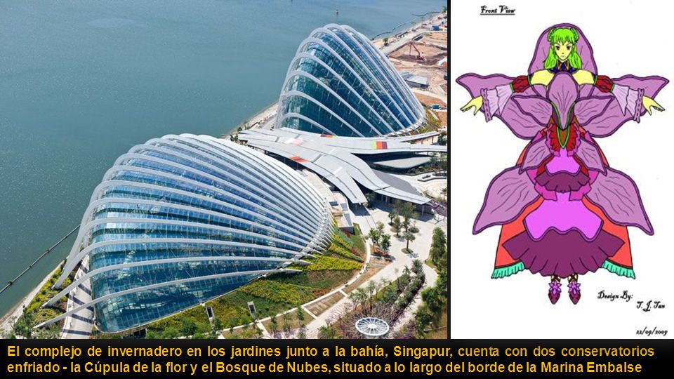 El complejo de invernadero en los jardines junto a la bahía, Singapur, cuenta con dos conservatorios enfriado - la Cúpula de la flor y el Bosque de Nubes, situado a lo largo del borde de la Marina Embalse