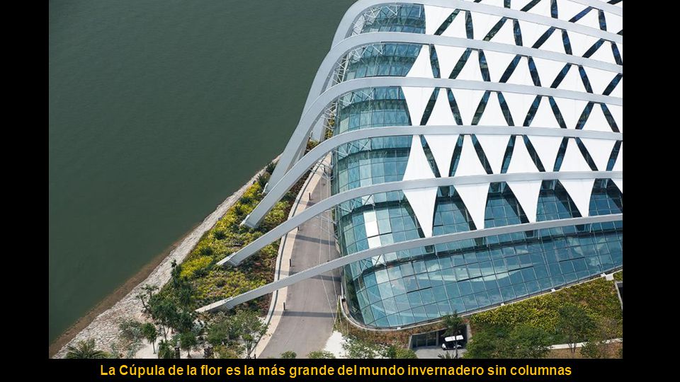 La Cúpula de la flor es la más grande del mundo invernadero sin columnas.