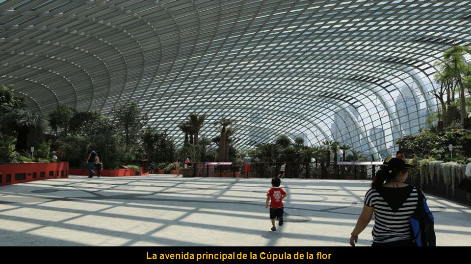 La avenida principal de la Cúpula de la flor
