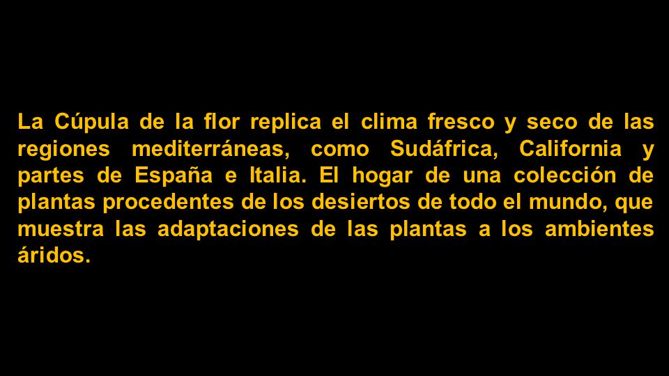 La Cúpula de la flor replica el clima fresco y seco de las regiones mediterráneas, como Sudáfrica, California y partes de España e Italia.