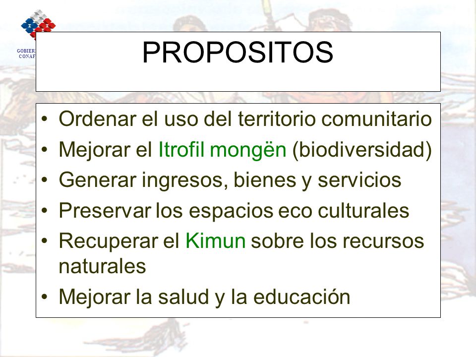 PROPOSITOS Ordenar el uso del territorio comunitario