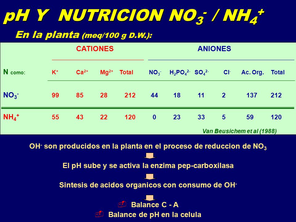 pH Y NUTRICION NO3- / NH4+ En la planta (meq/100 g D.W.):