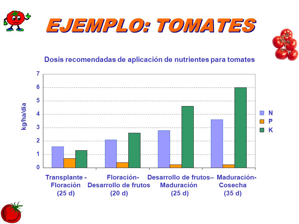 EJEMPLO: TOMATES Dosis recomendadas de aplicación de nutrientes para tomates