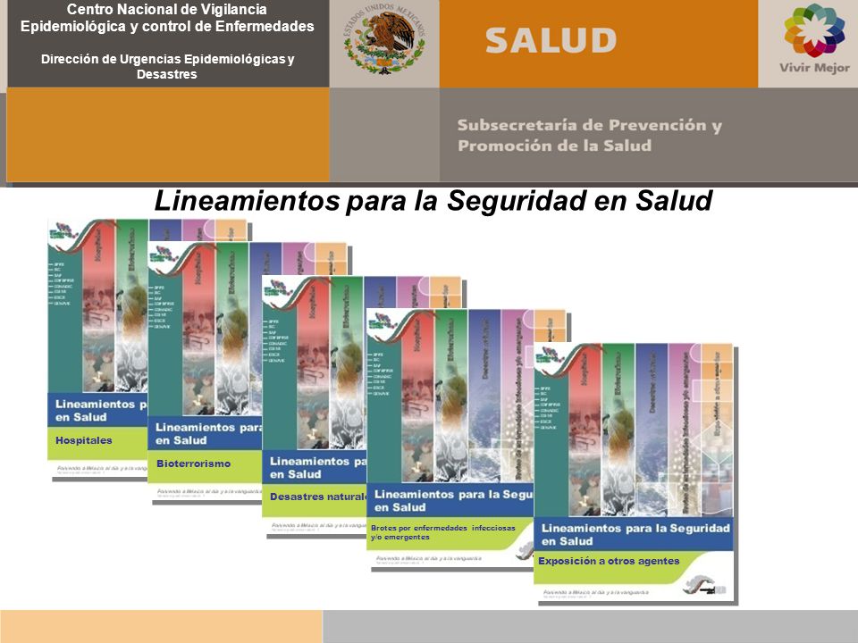 Lineamientos para la Seguridad en Salud