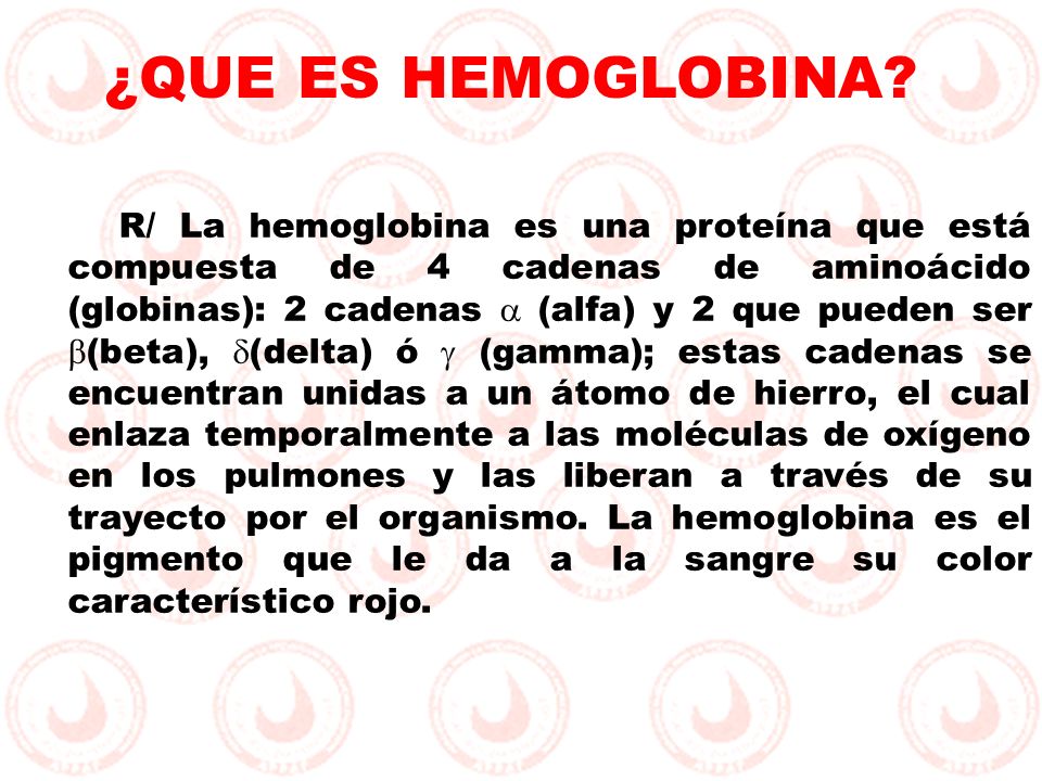 ¿QUE ES HEMOGLOBINA