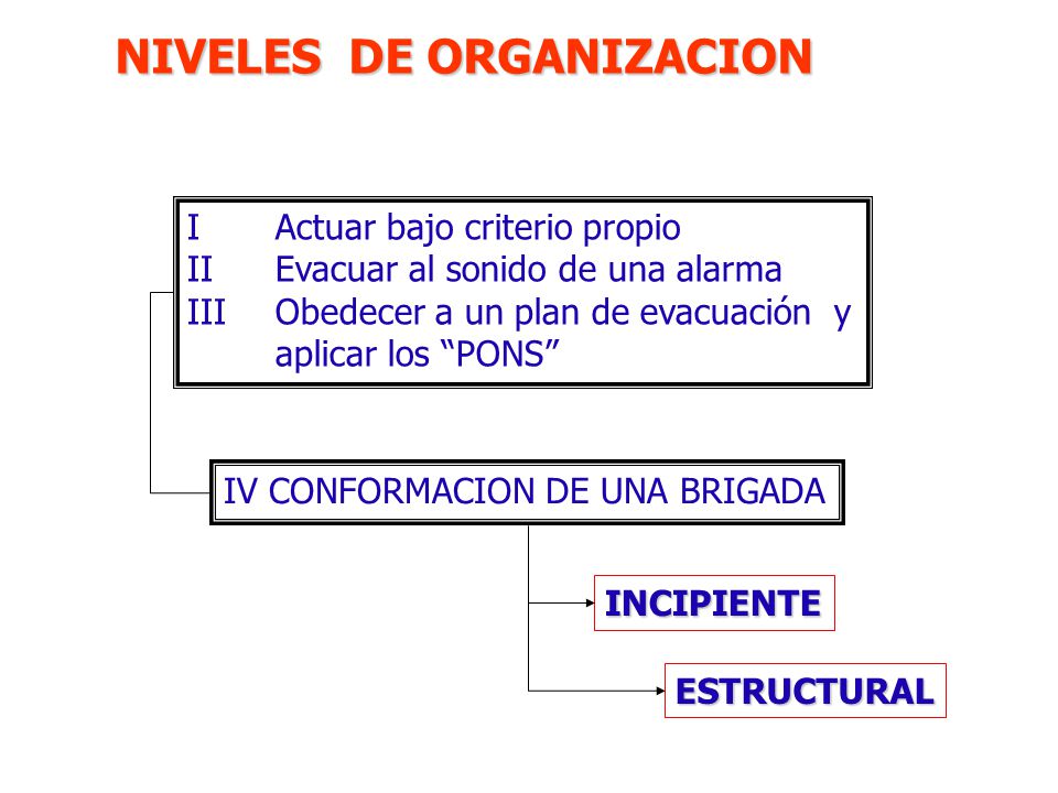 NIVELES DE ORGANIZACION