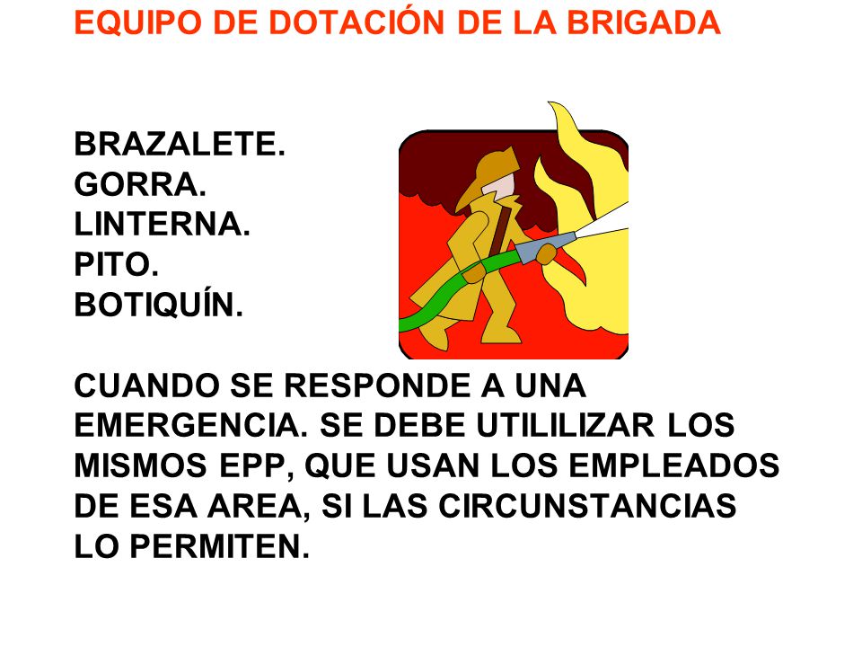 EQUIPO DE DOTACIÓN DE LA BRIGADA BRAZALETE. GORRA. LINTERNA. PITO