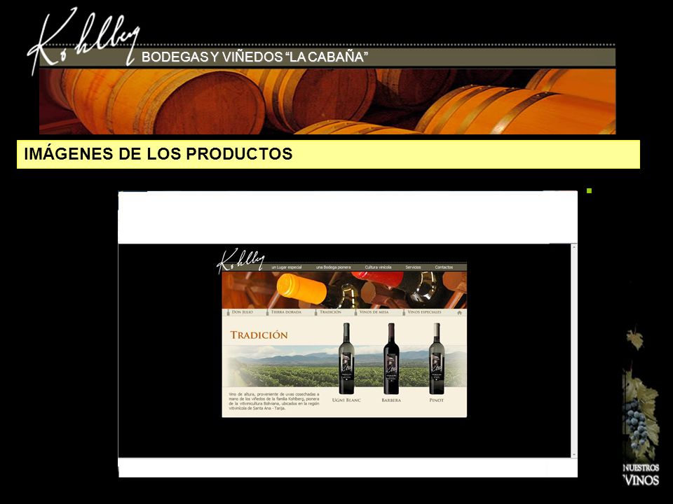 IMÁGENES DE LOS PRODUCTOS