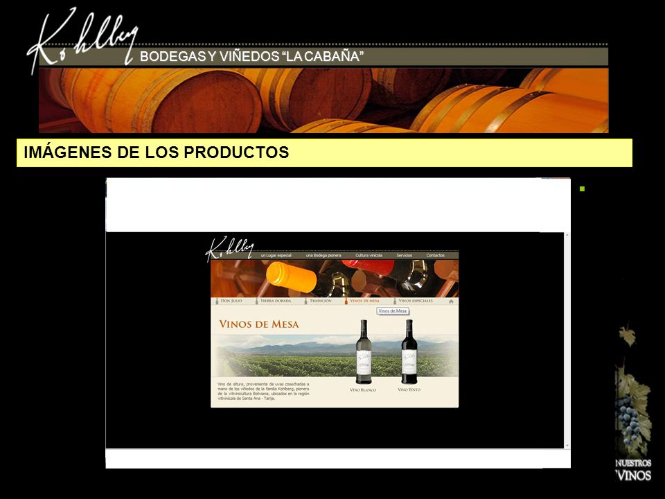 IMÁGENES DE LOS PRODUCTOS