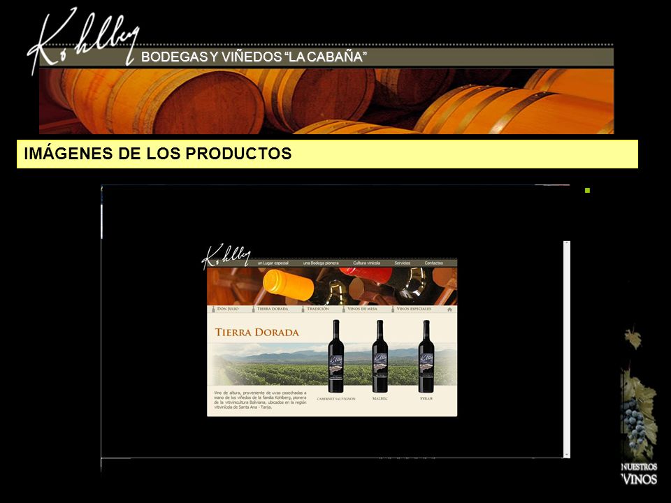 IMÁGENES DE LOS PRODUCTOS