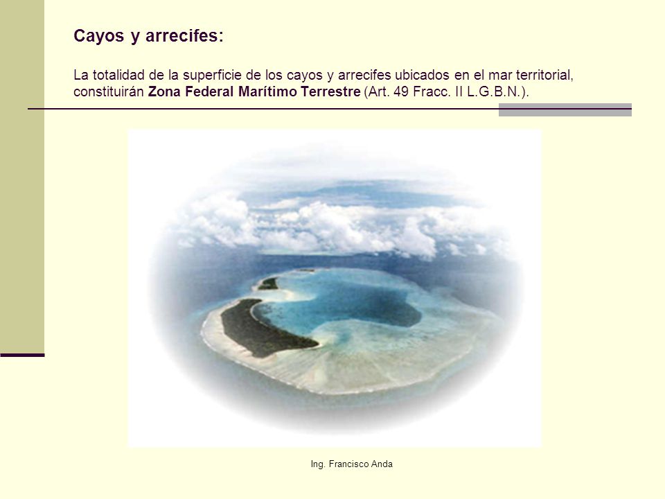 Cayos y arrecifes: La totalidad de la superficie de los cayos y arrecifes ubicados en el mar territorial, constituirán Zona Federal Marítimo Terrestre (Art. 49 Fracc. II L.G.B.N.).