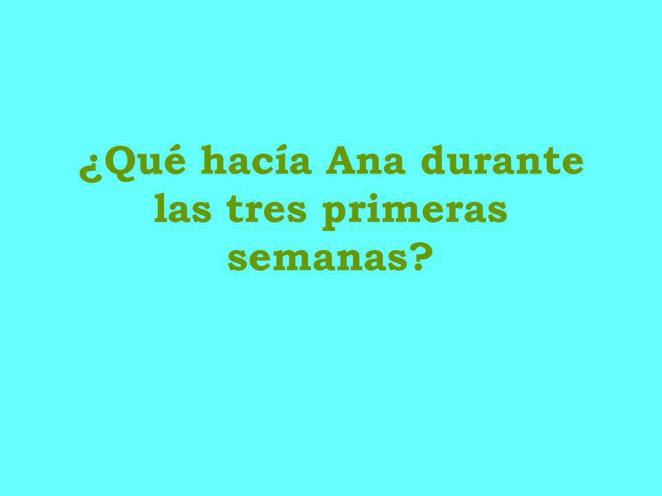 ¿Qué hacía Ana durante las tres primeras semanas