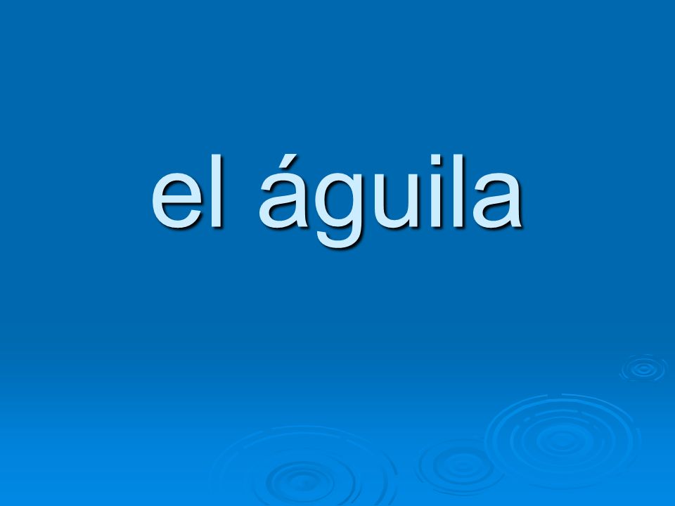 el águila