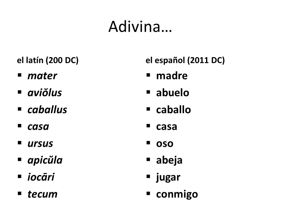 Adivina… mater aviŏlus caballus casa ursus apicŭla iocāri tecum madre