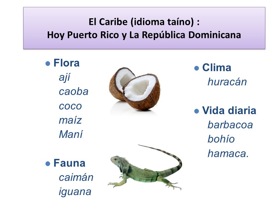 El Caribe (idioma taíno) : Hoy Puerto Rico y La República Dominicana