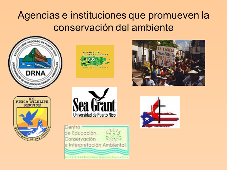 Agencias e instituciones que promueven la conservación del ambiente
