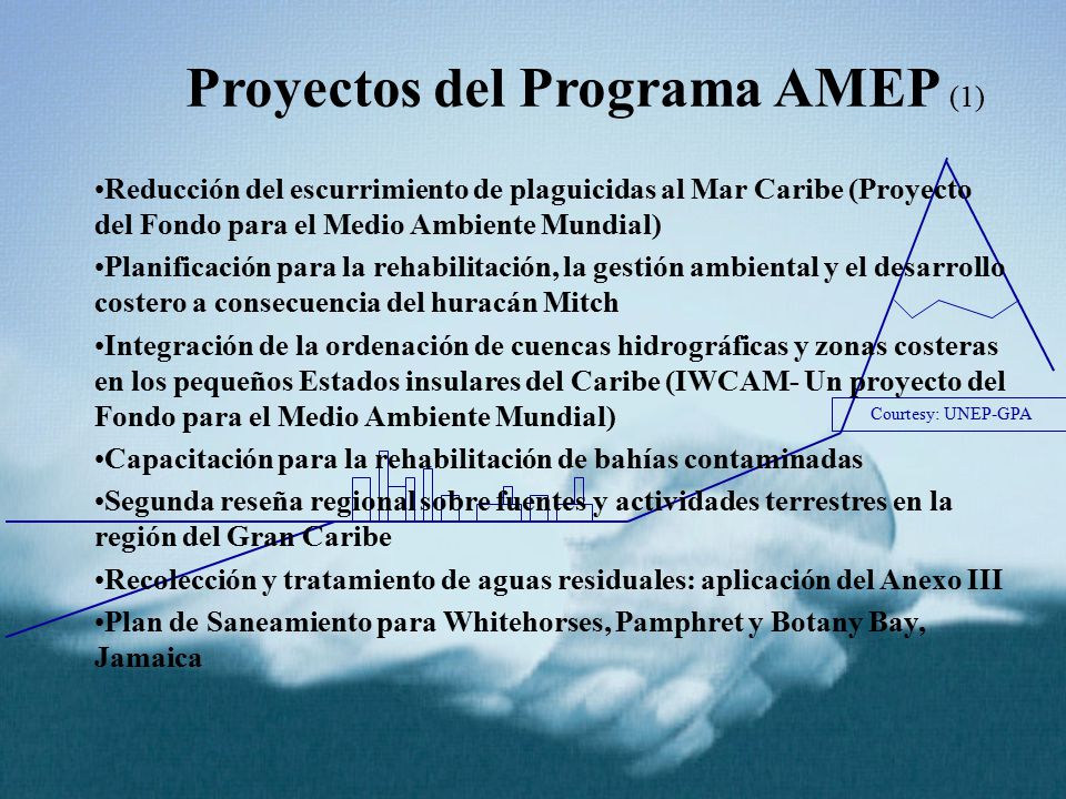 Proyectos del Programa AMEP (1)