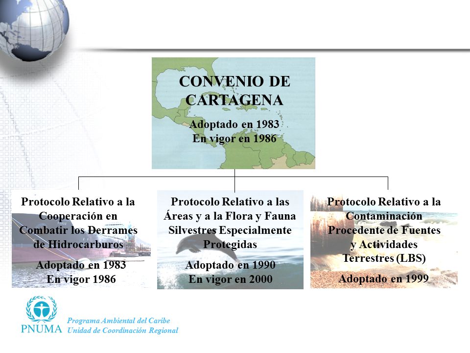 CONVENIO DE CARTAGENA Adoptado en 1983 En vigor en 1986