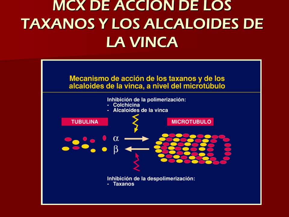 MCX DE ACCION DE LOS TAXANOS Y LOS ALCALOIDES DE LA VINCA