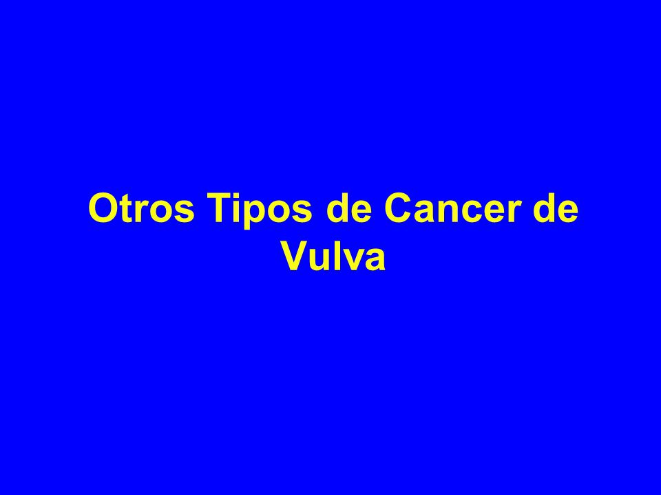 Otros Tipos de Cancer de Vulva